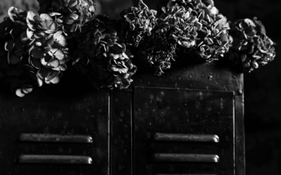 Organiser un mariage : idées, conseils, …