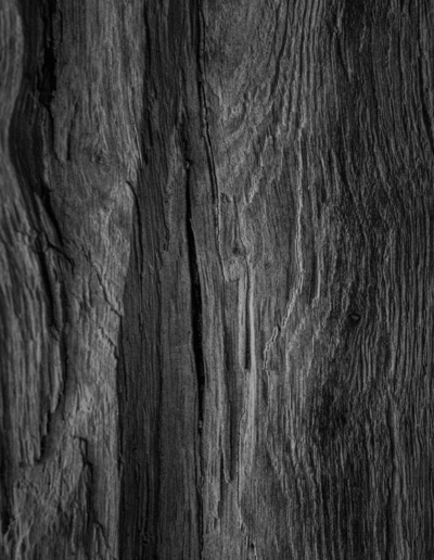 Photo d'un veinage de bois pour montrer l'ambiance des Granges de la Haute