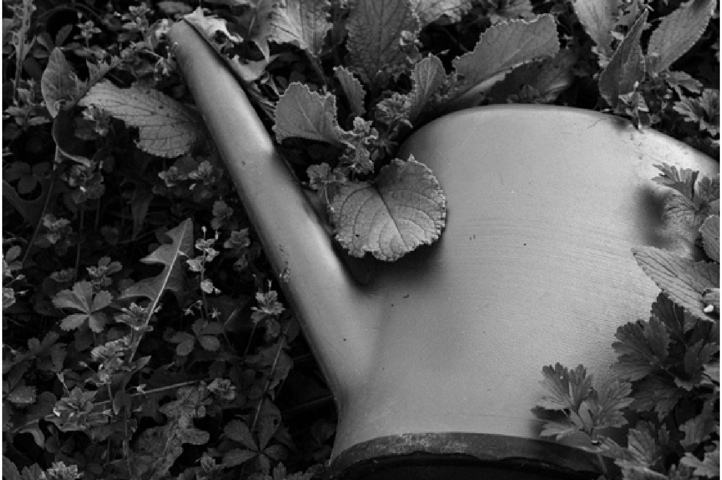 Photo d'un arroisoire dans le jardin, un espace des Granges de la Haute