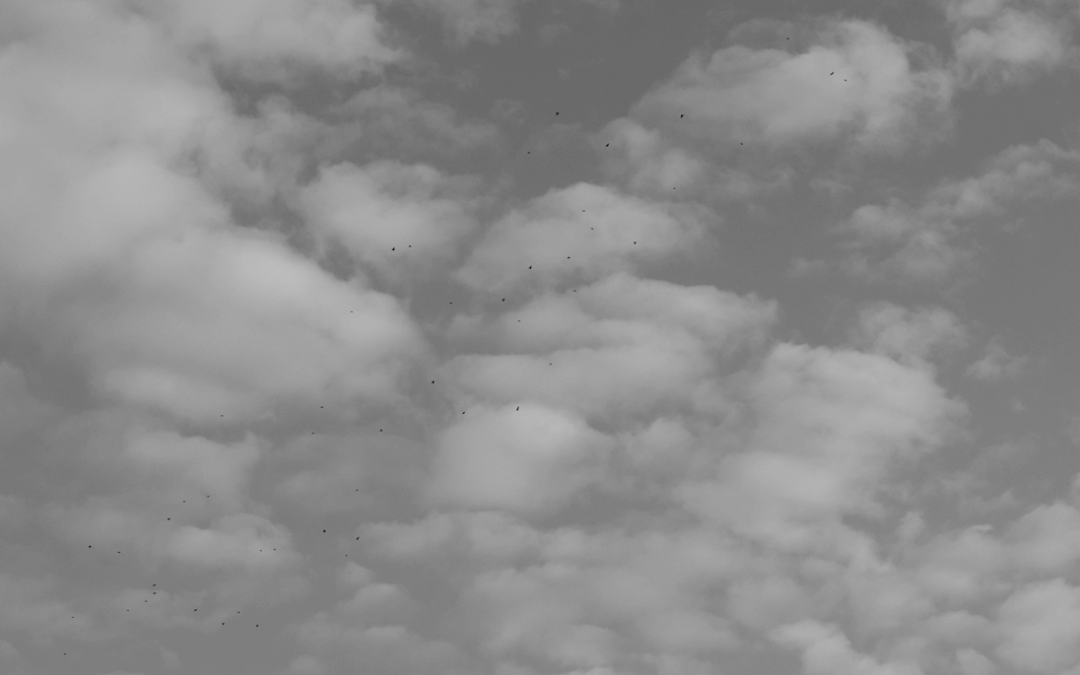 Organiser un séminaire : idées, conseils, …