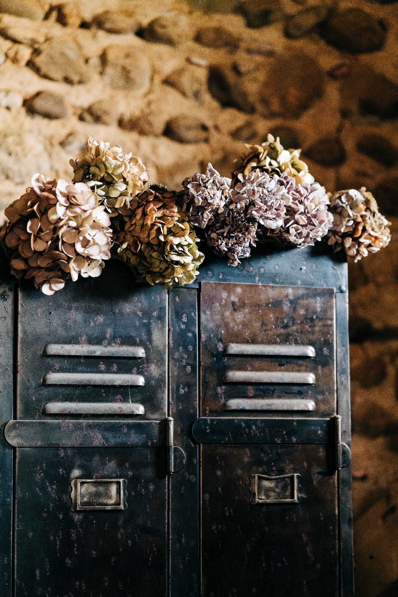 armoire métallique avec hortensia